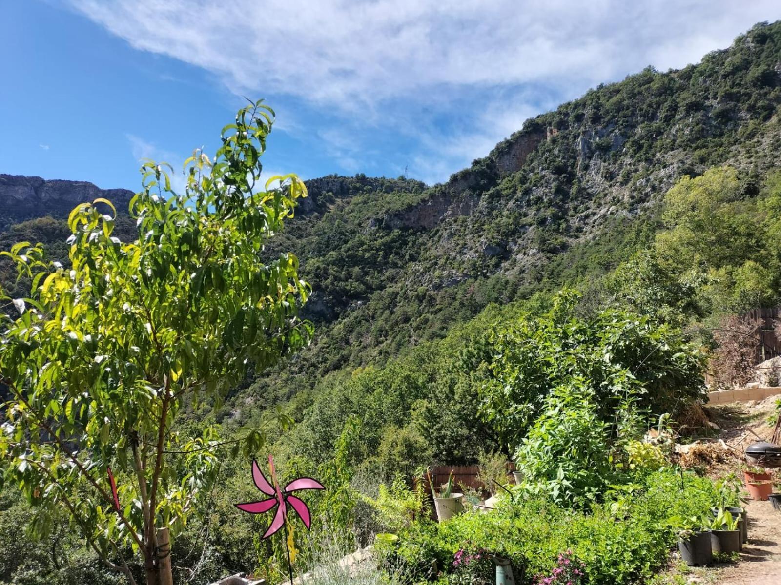 La Gruppio Bed & Breakfast Ilonse Bagian luar foto